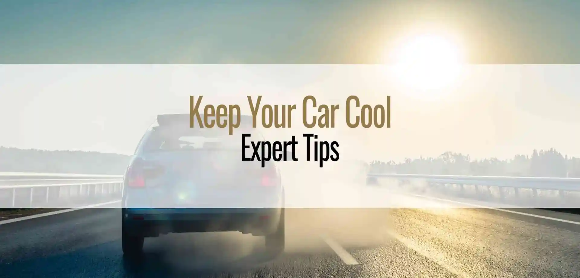 How to Cool Down a Hot Car in Mesa, AZ | Scientific Tips & SDR Auto Glass Services